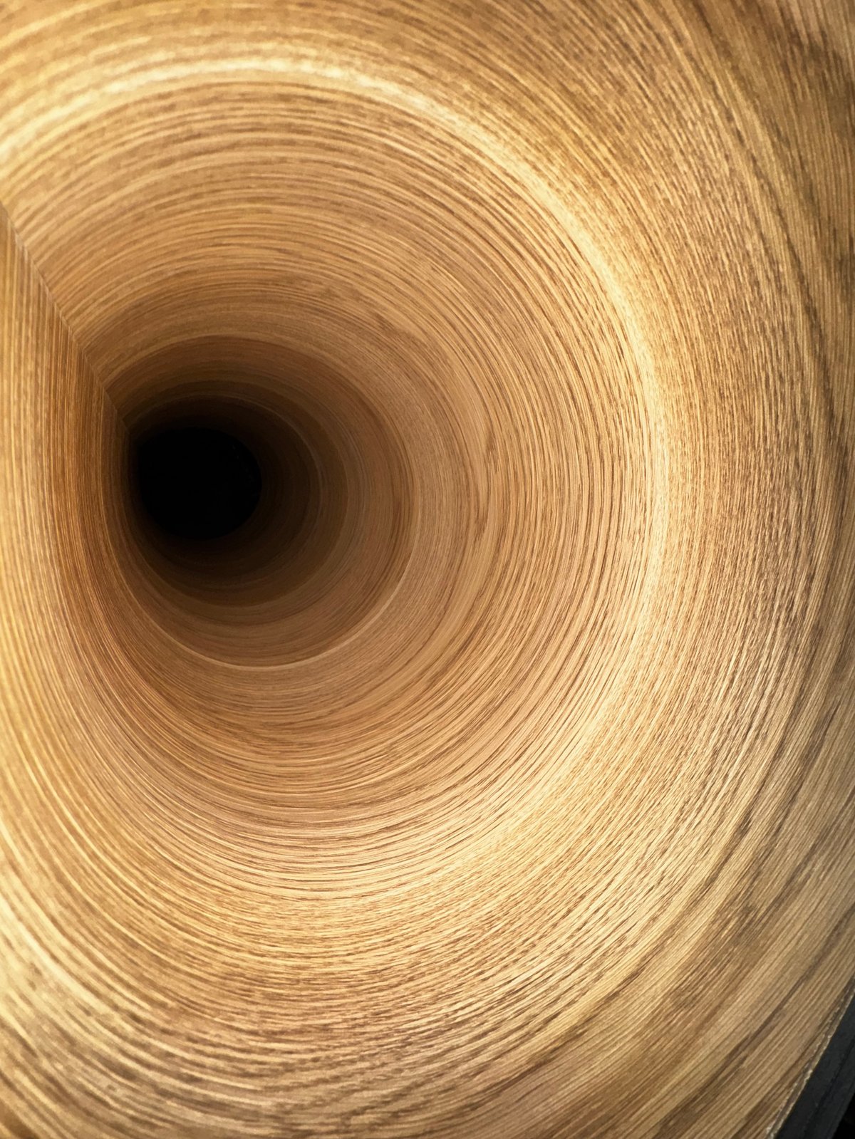 Túnel concéntrico de veta de madera miel con centro oscuro